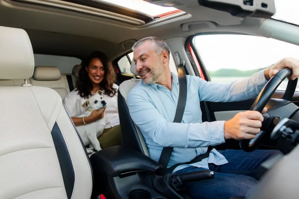 Transport d'animaux à Lironcourt